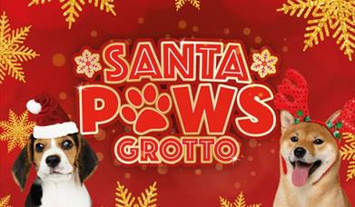 Santa Paws Grotto poster
