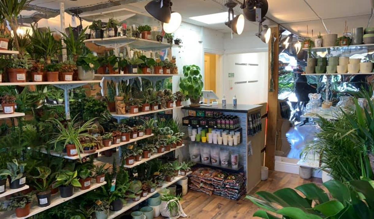 Garden Centre Weston Fasci Garden