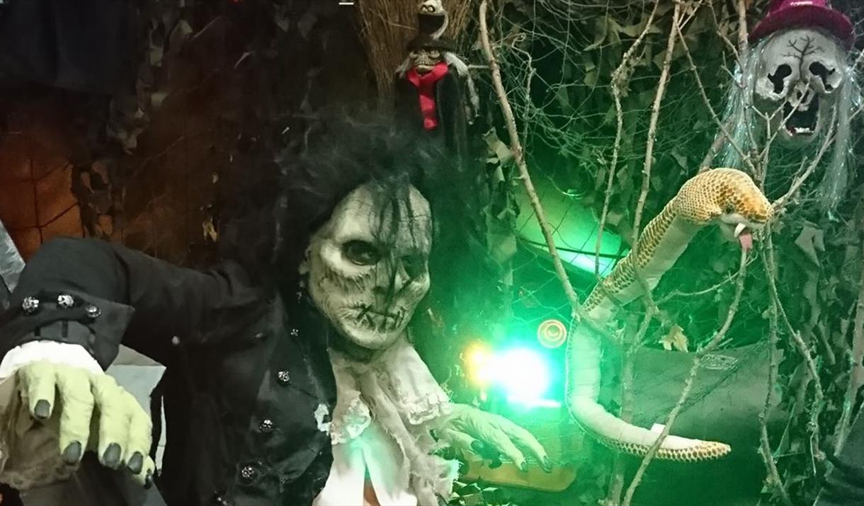 Halloween Family Fun Day