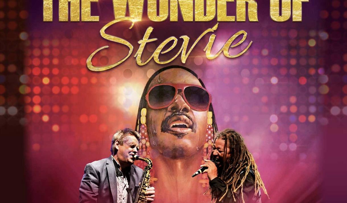 Poster of a lookalike Stevie Wonder flanked by two other musicians on a poster which is advertising the Wonder of Stevie tribute show