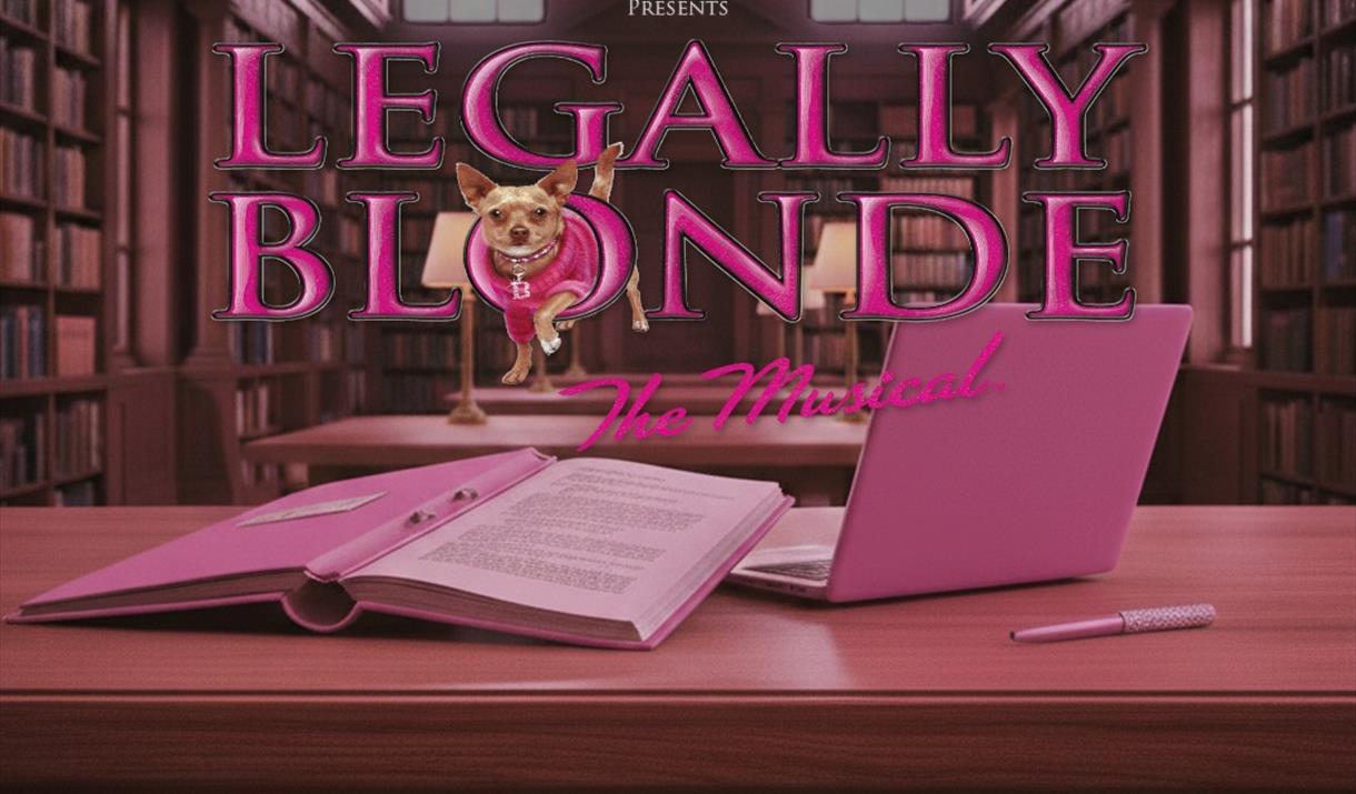 A book and a laptop on a table in a library with the words Legally Blonde stamped across the image