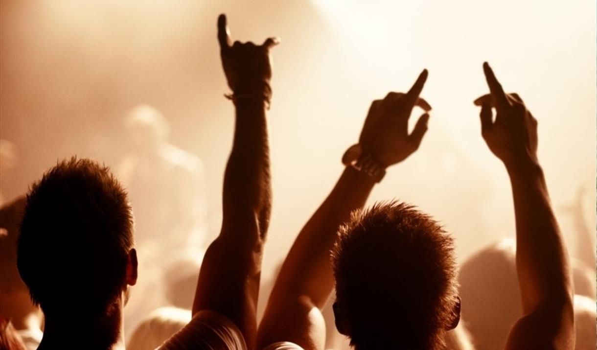 Silhouette of the backs of two men with their arms in the air at a music concert