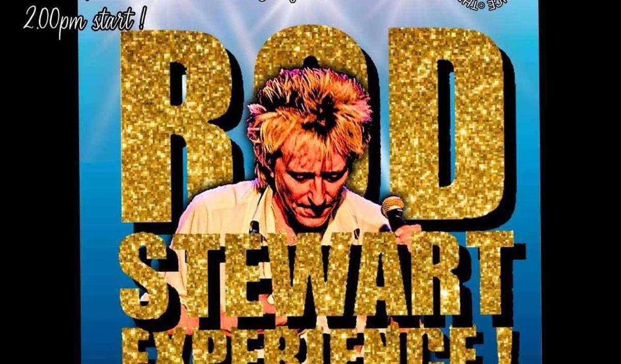 Image of a Rod Stewart tribute act with the words Rod Stewart Experience written in Gold