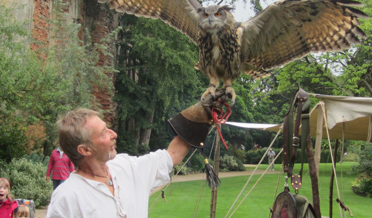 Medieval Falconry at the Bishop's Palace