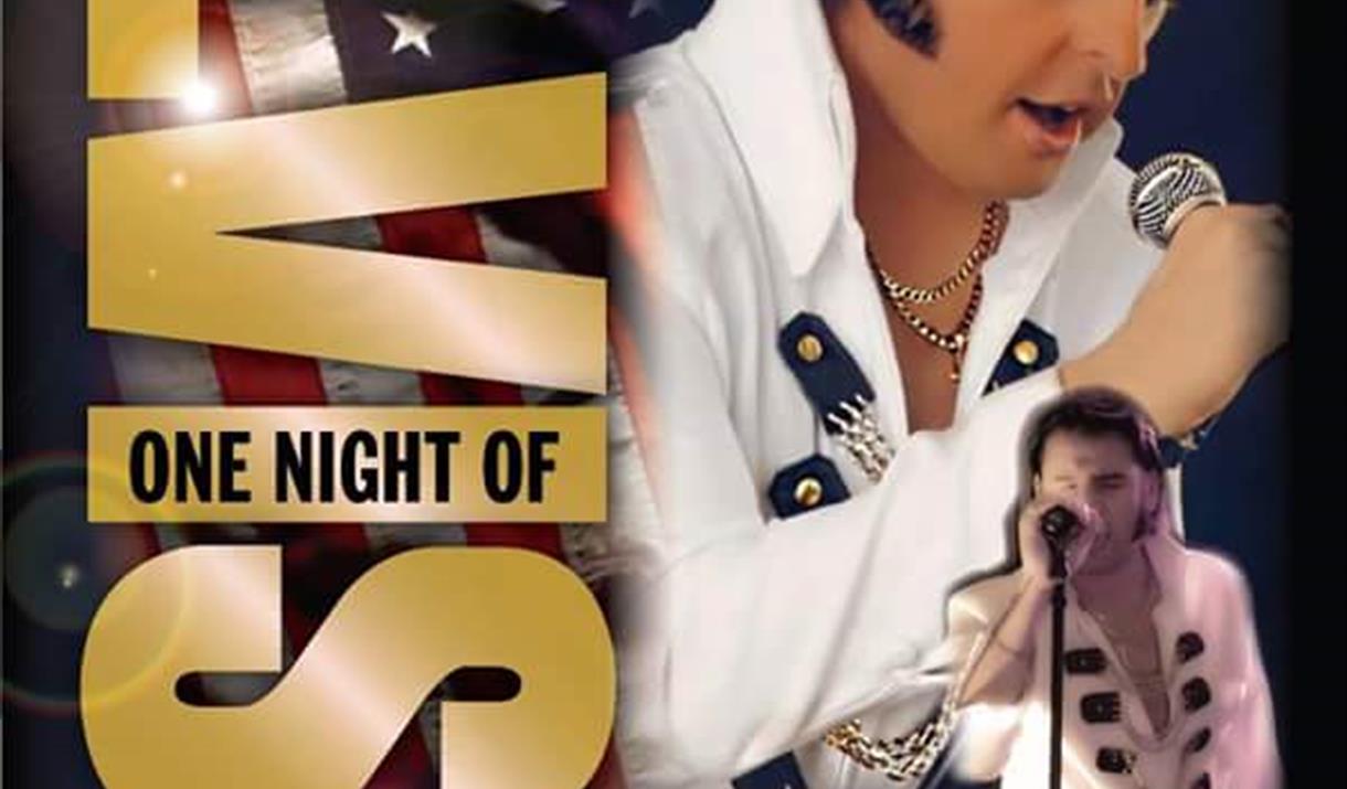 One Night of Elvis