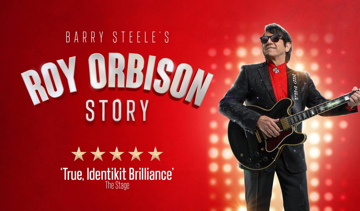 Photograph of Barry Steele as Roy Orbison on a red background.