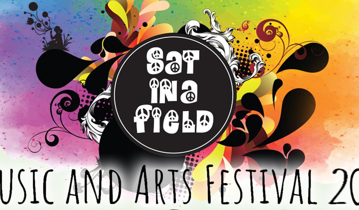Sat In A Field Festival 2018
