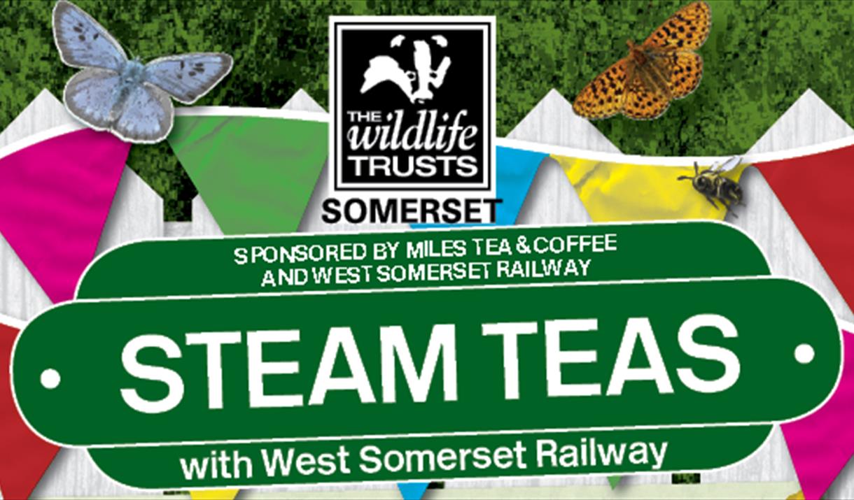 Steam Teas