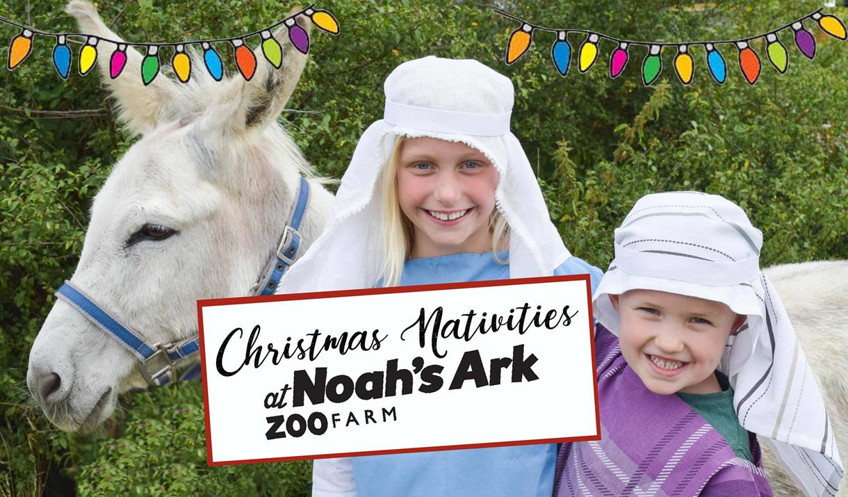 School Christmas Nativities at Noah's Ark