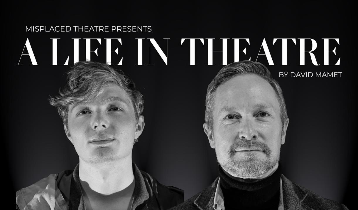 A Life in the Theatre