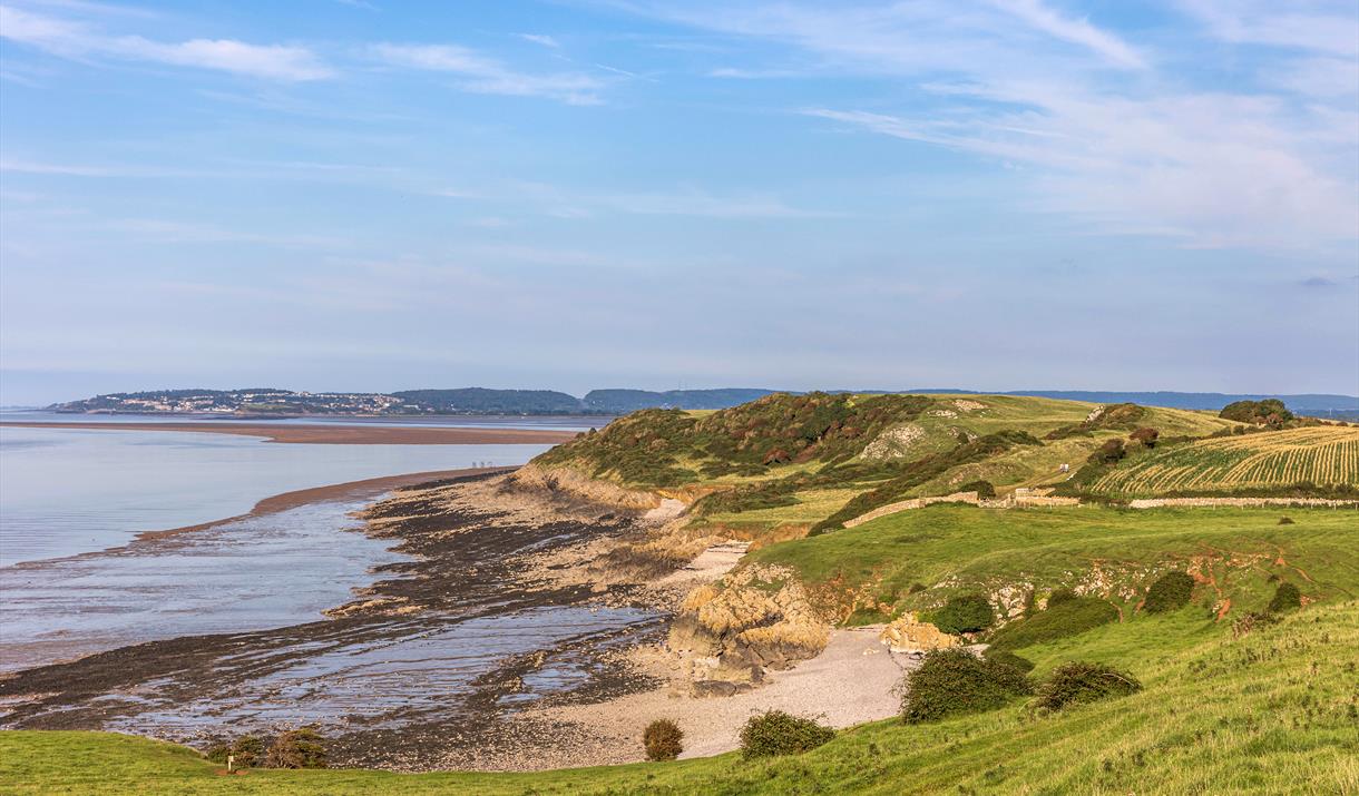 Sand Point coastline featuring fields, rocky beaches and the sea