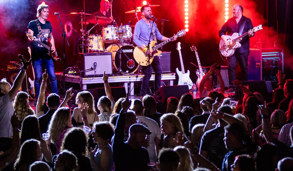 A band performing on stage with a large crowd in the foreground