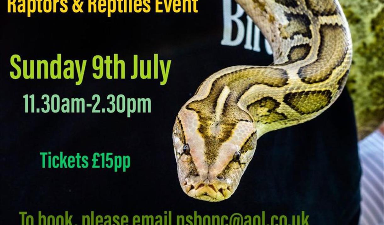 Poster with a snake's head on it advertising a raptors and reptiles event
