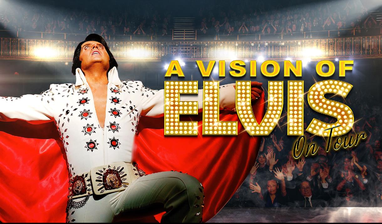 A Vision of Elvis