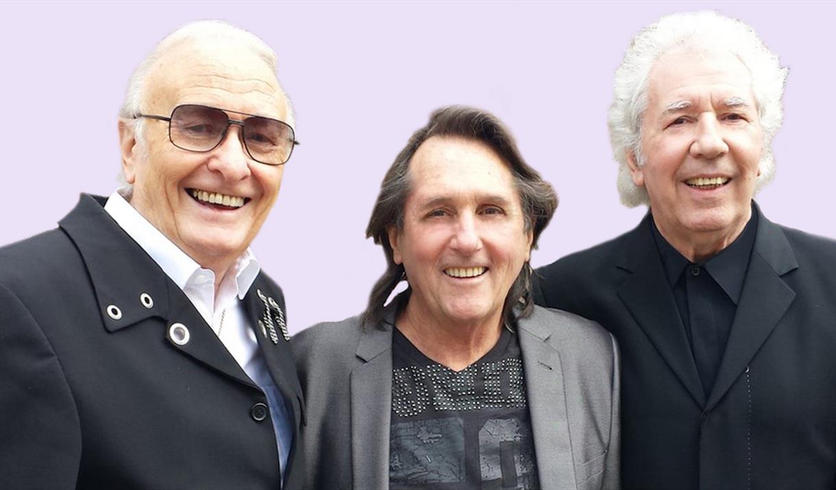 Brian Poole and The Tremeloes