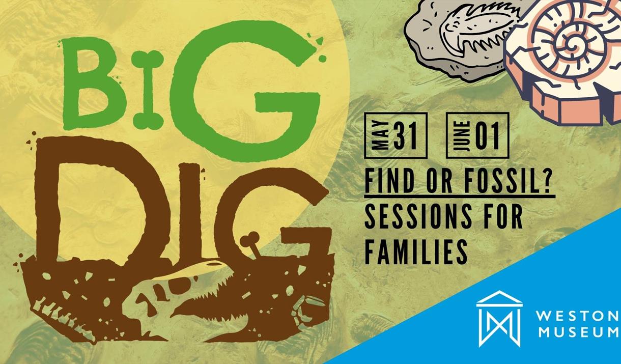 Big Dig poster