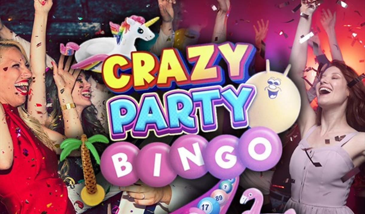 Crazy Party Bingo Poster