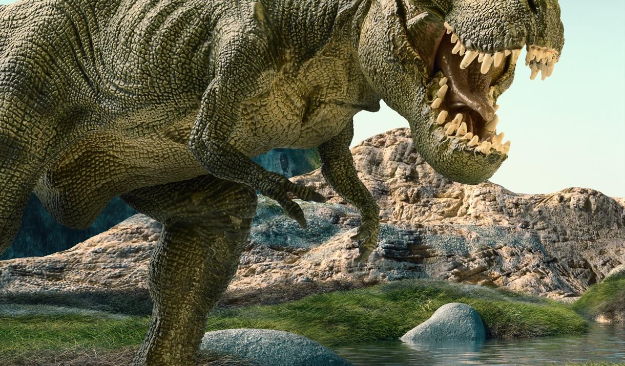 Dino Dome