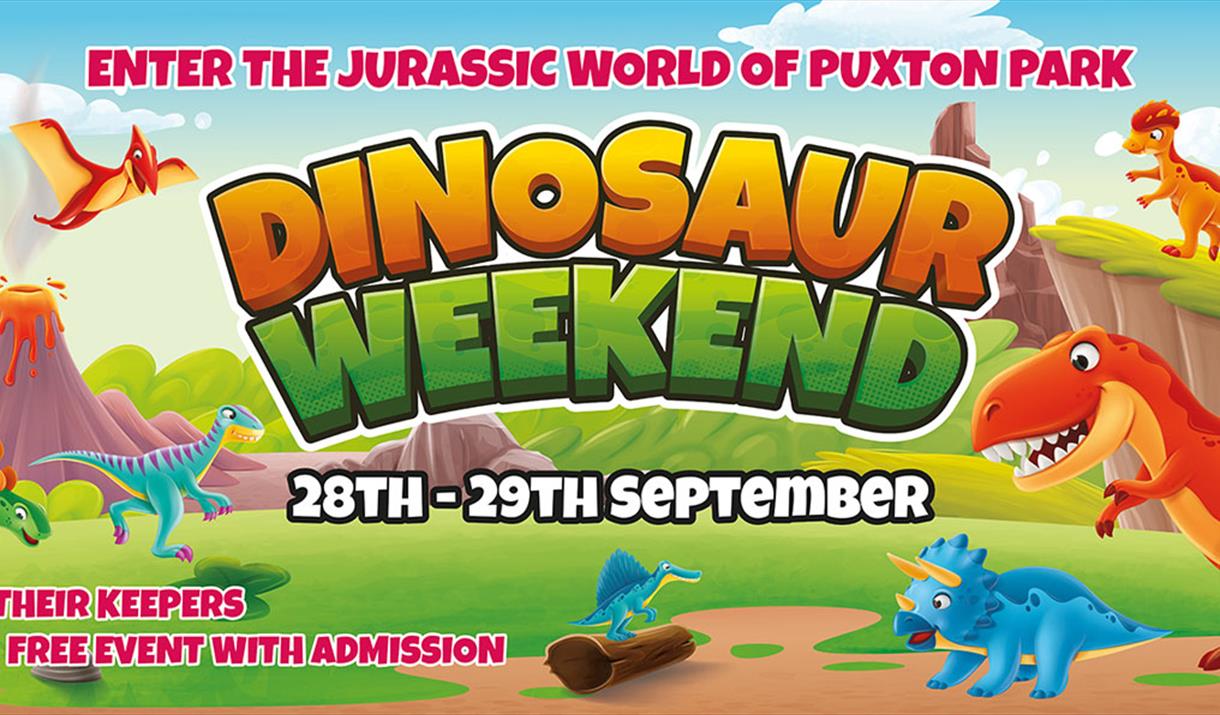 Cartoon style poster featuring dinosaurs to advertise a dinosaur weekend