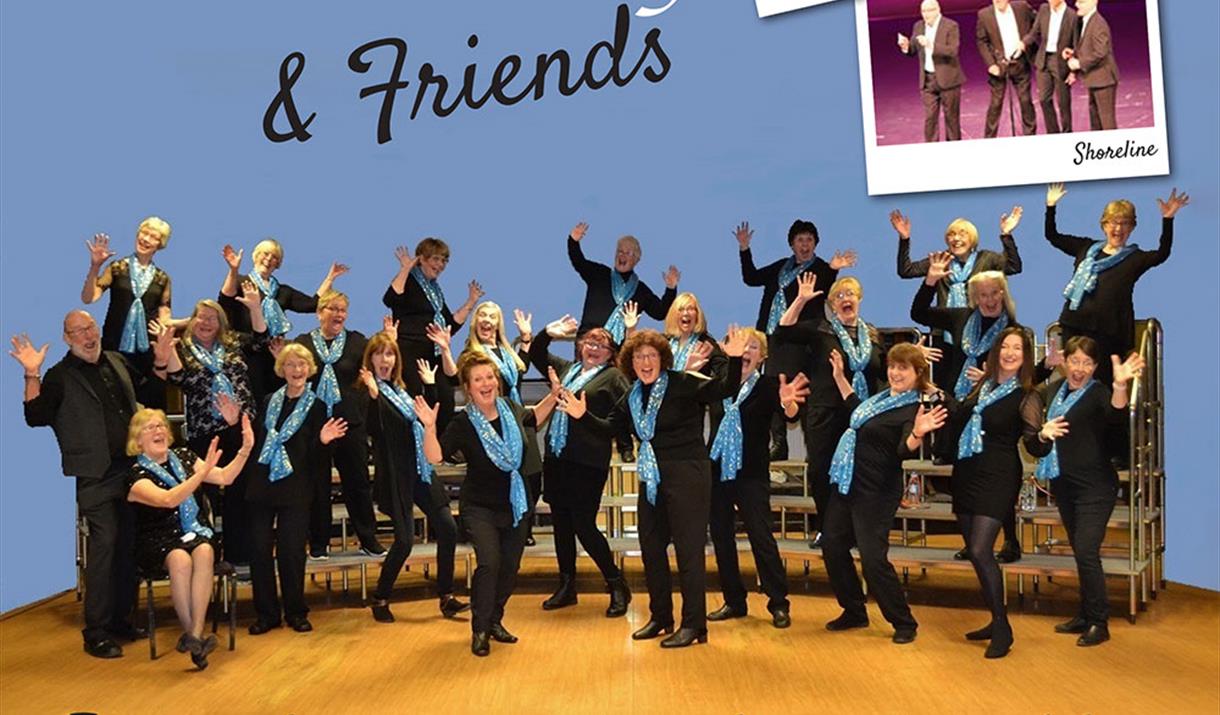 Waves of Harmony & Friends