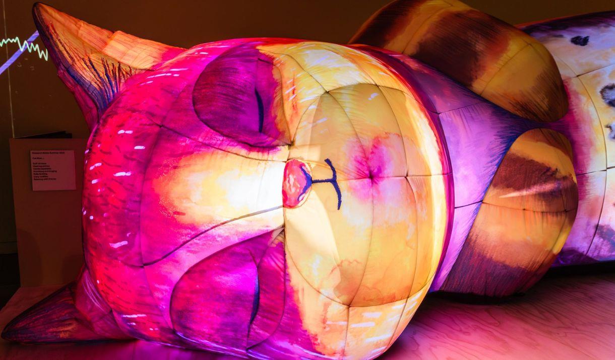 Bristol Light Festival 2026 - The Cat That Slept For A Thousand Years - AirGiants