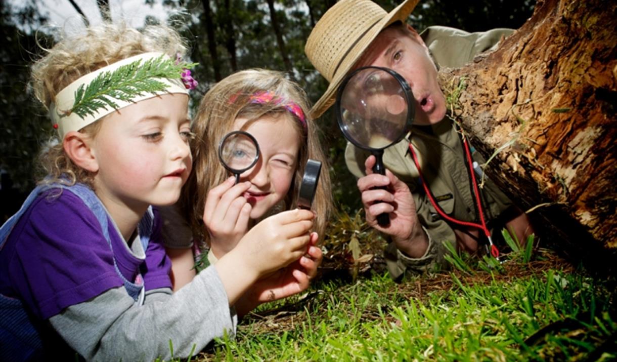 Family Fun Friday - Creepy Crawlies'