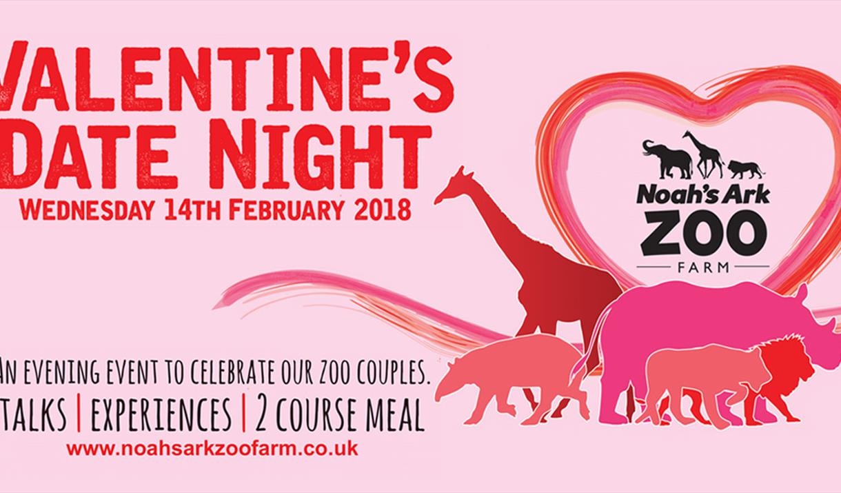 Valentine's Date Night at the Zoo