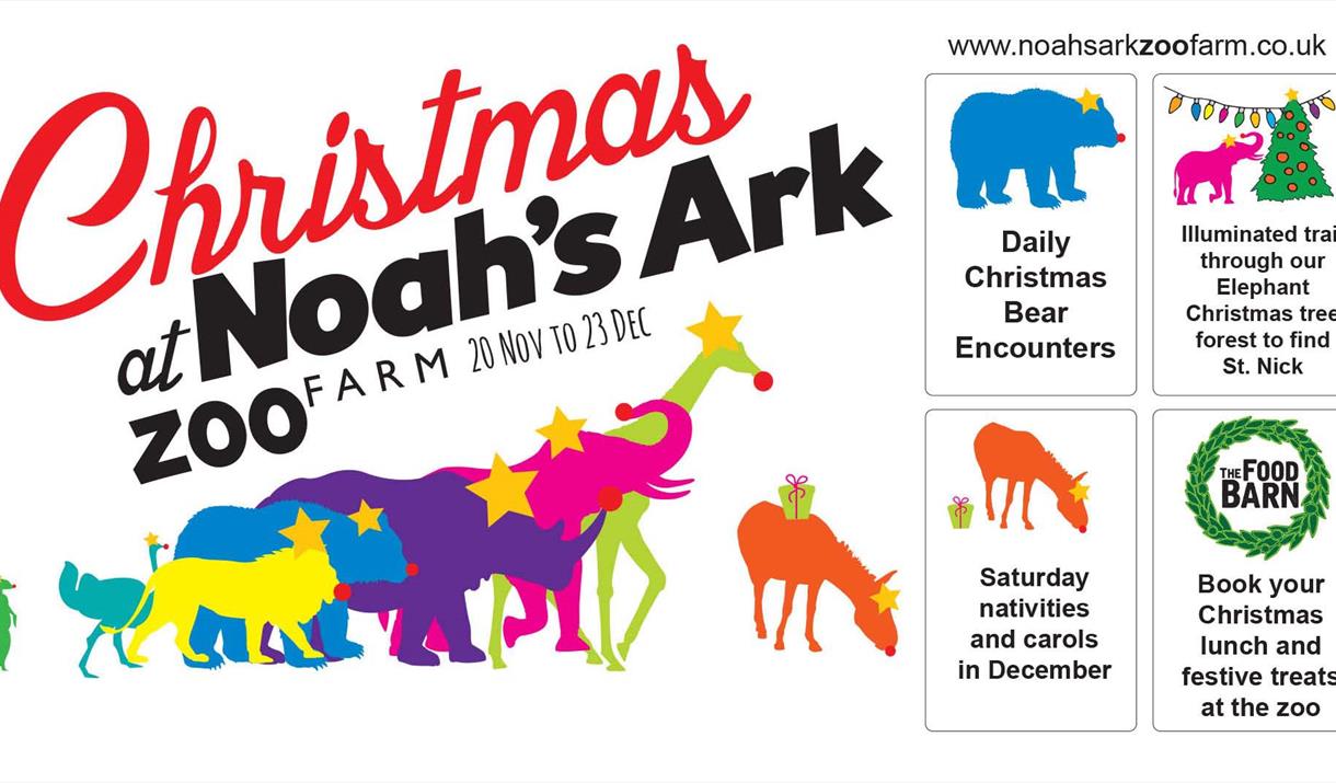 Christmas at the Ark