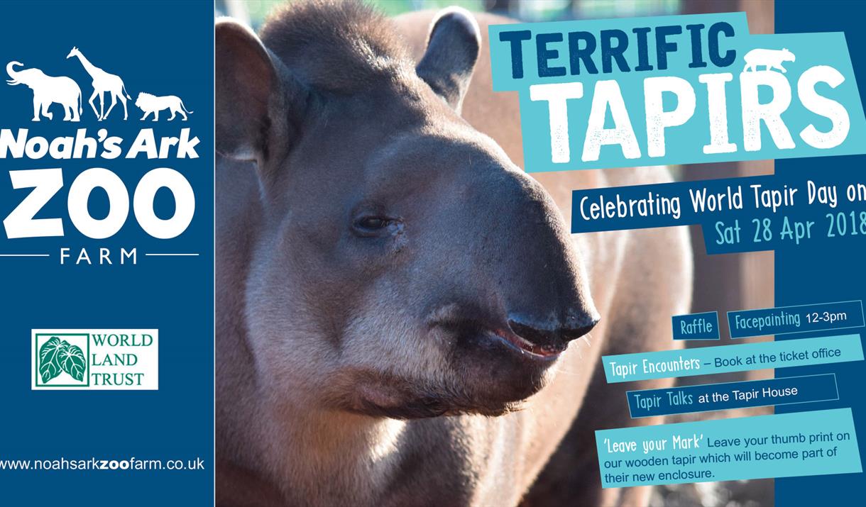 World Tapir Day