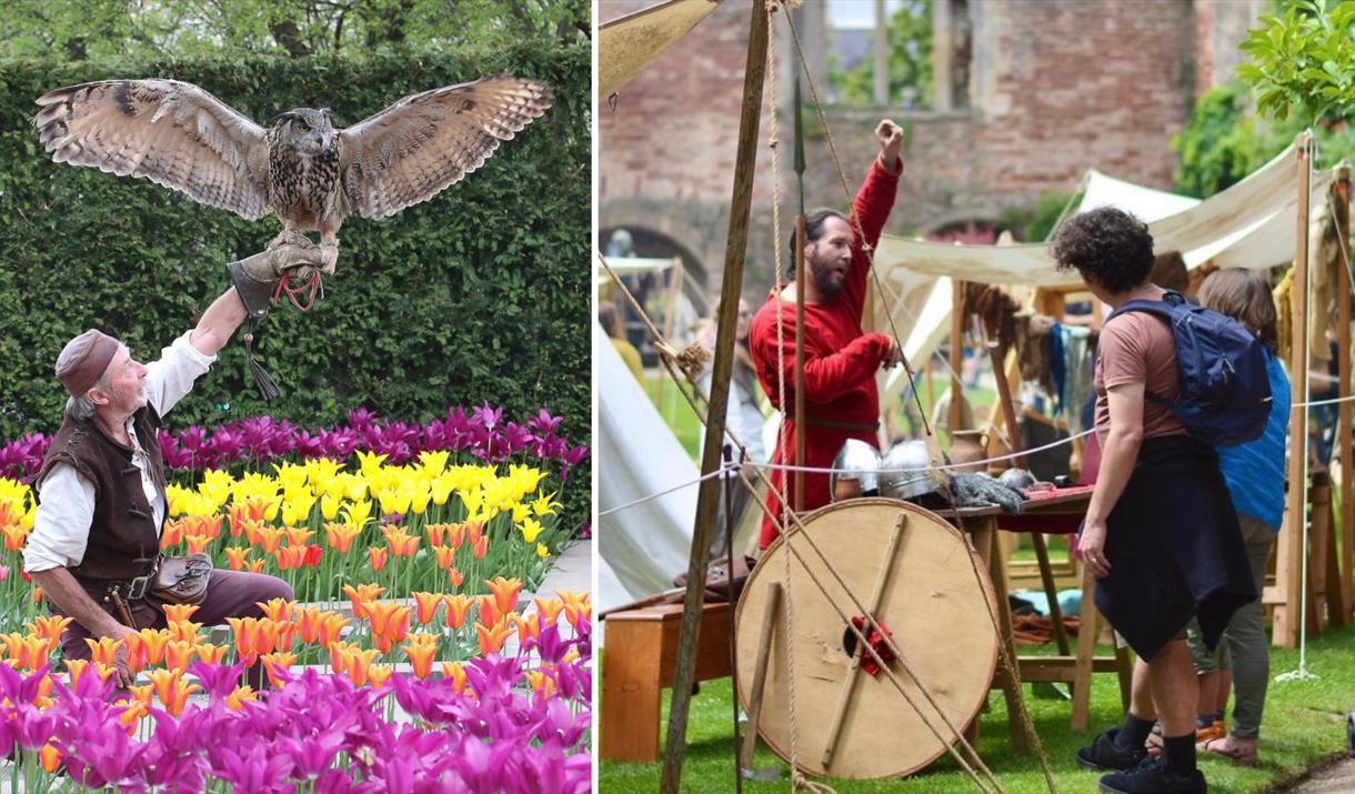 Falconry & Vikings Day