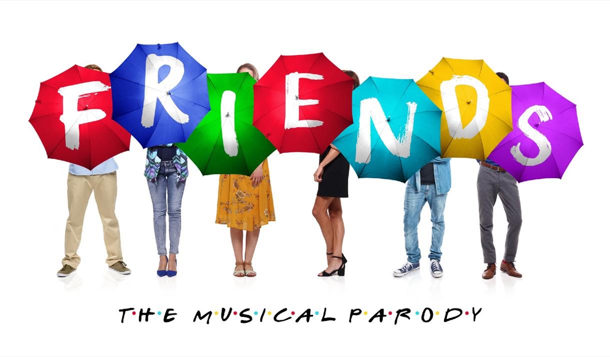 Friends The Musical Parody