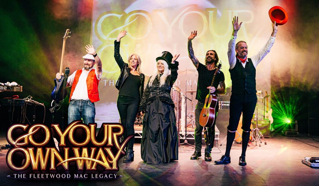 Fleetwood Mac tribute poster