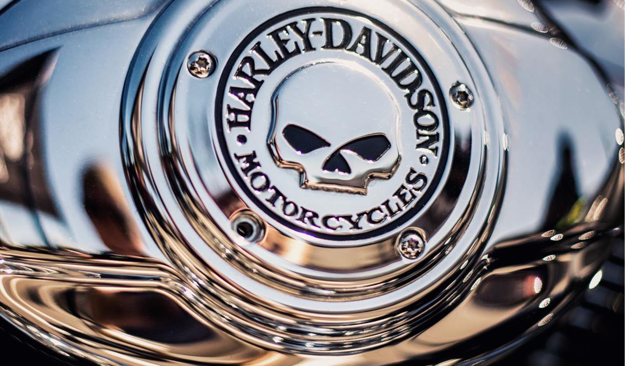 A shiny silver Harley Davidson motorbike badge with a skull embossed on it