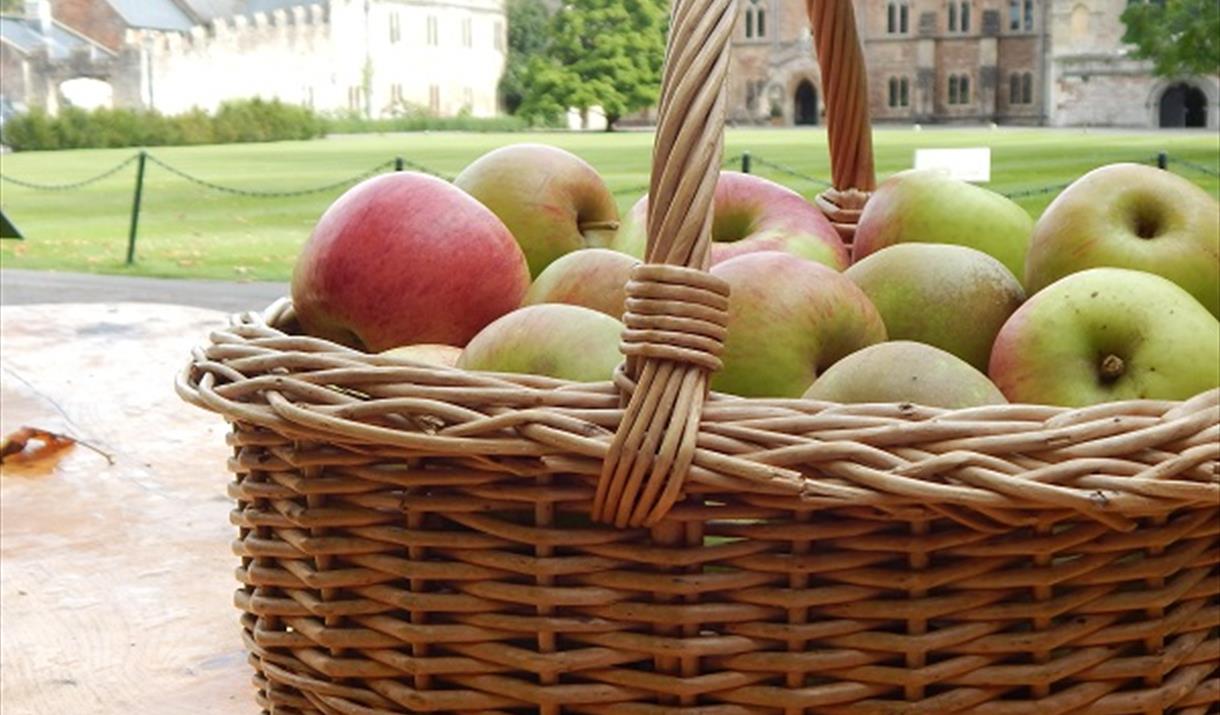 Harvest Festival