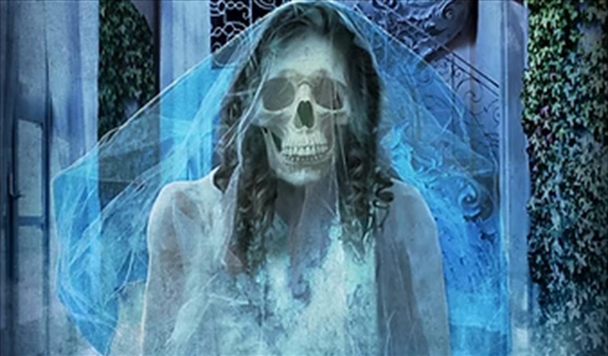 A skeletal face wearing a bridal gown