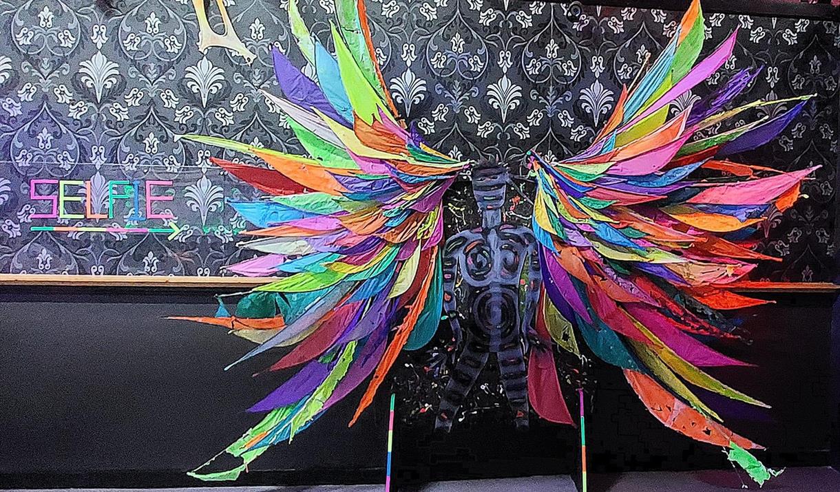 Multi colour feathered wings bigger than the average human