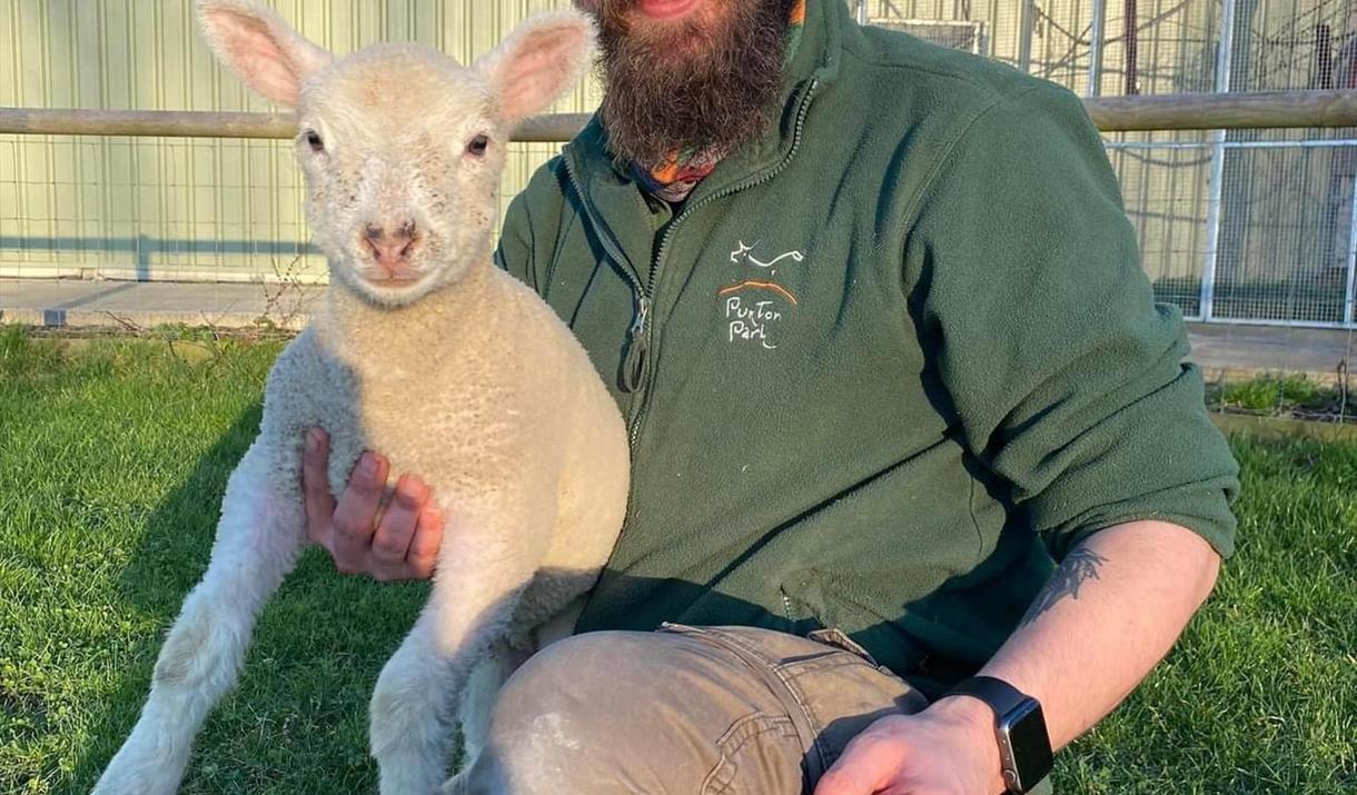 Puxton employee in green jumper holding a baby lamb