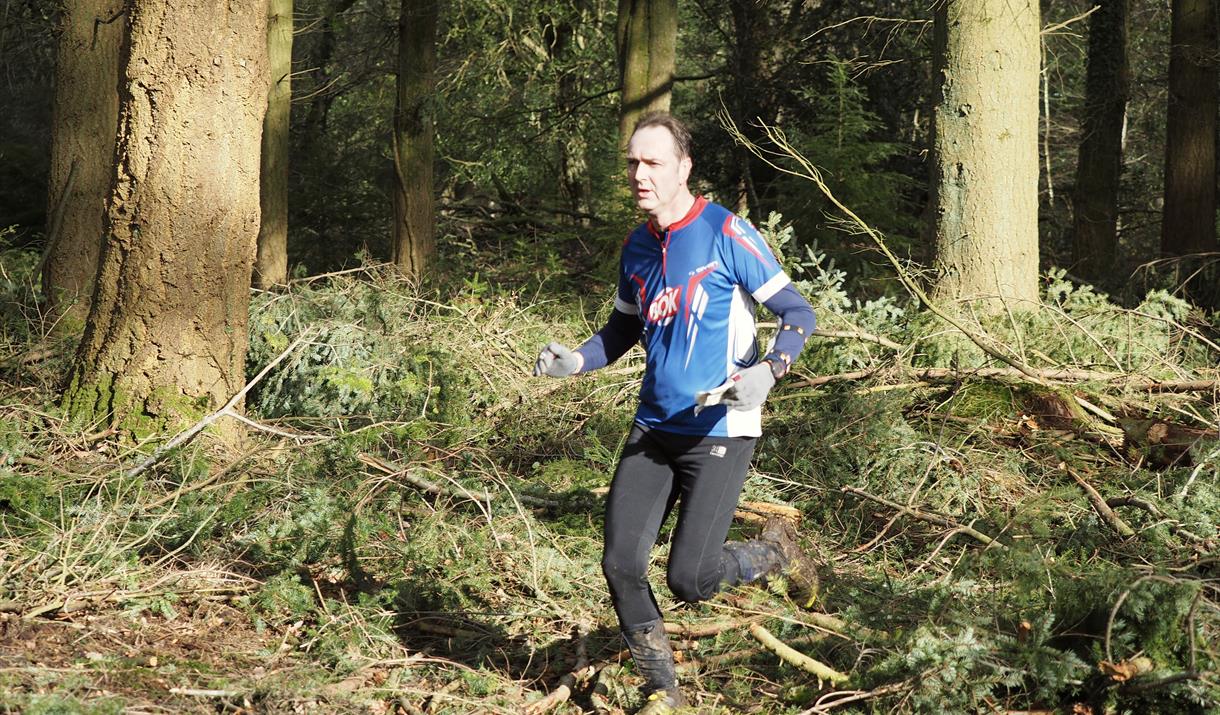 A man running in the woods wearing a blue, white and red running top