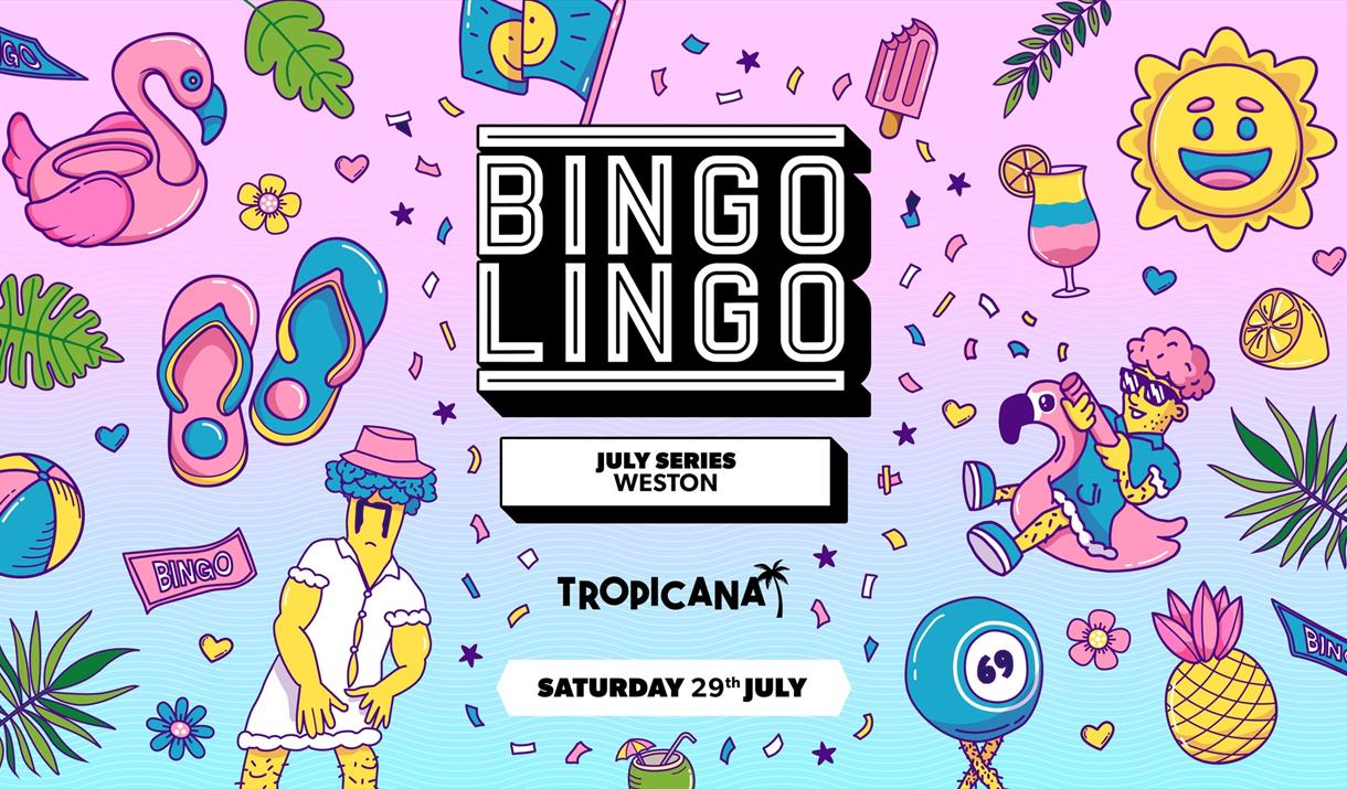 Cartoon-style colourful poster advertising Bingo Lingo