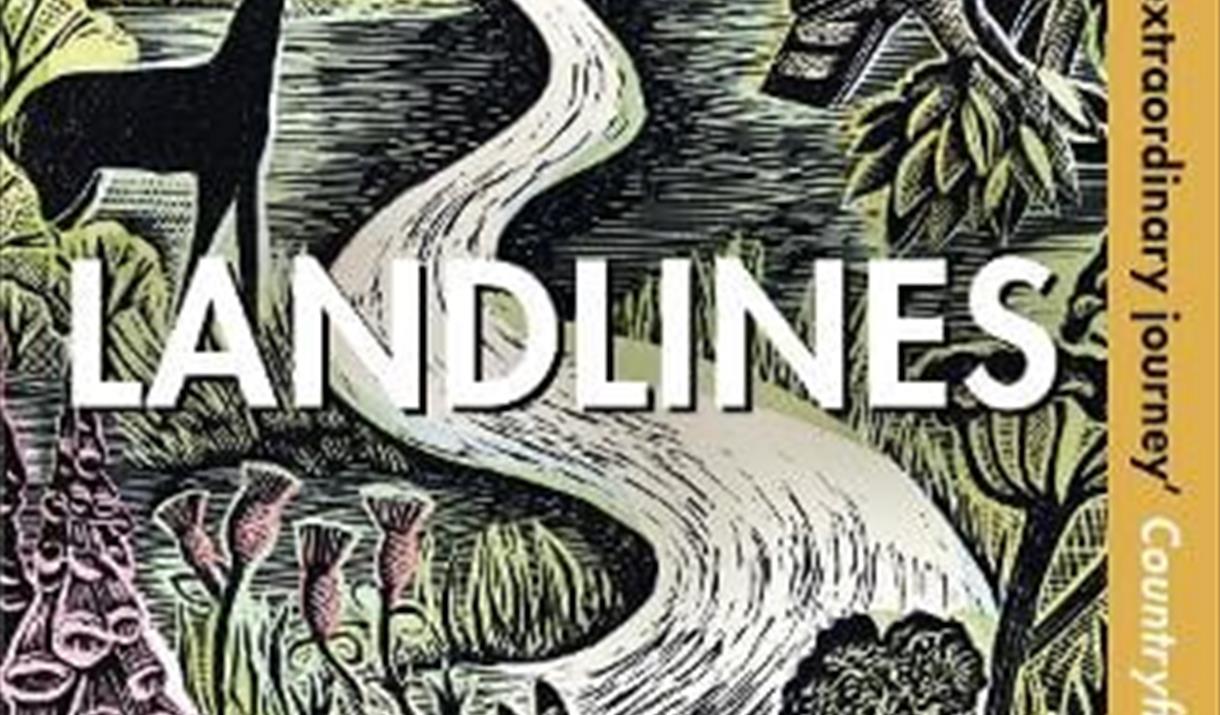 Book cover of Landlines by Raynor Winn