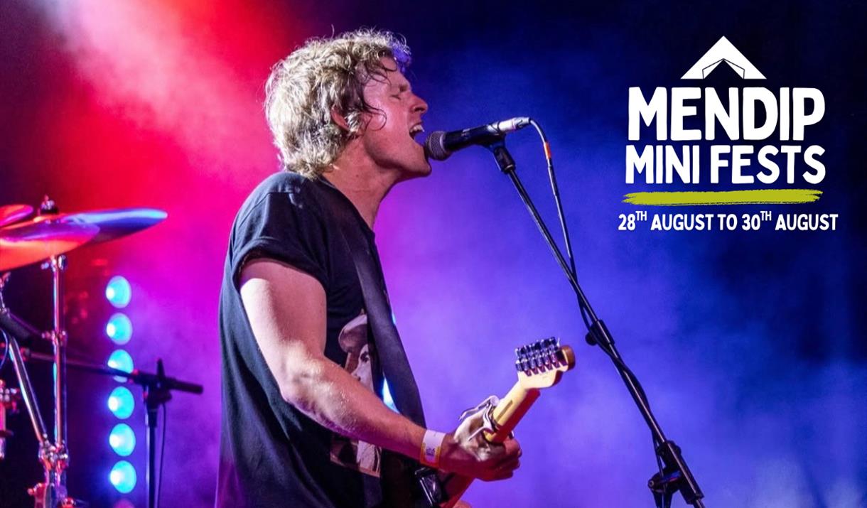 The Lipinskis playing at Mendip Mini Fests this summer