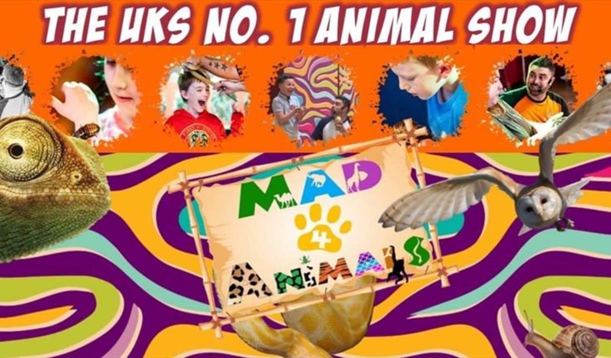 Mad 4 Animals Face your Fears