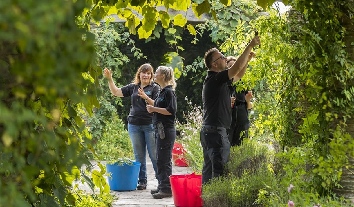 Meet the Gardener
