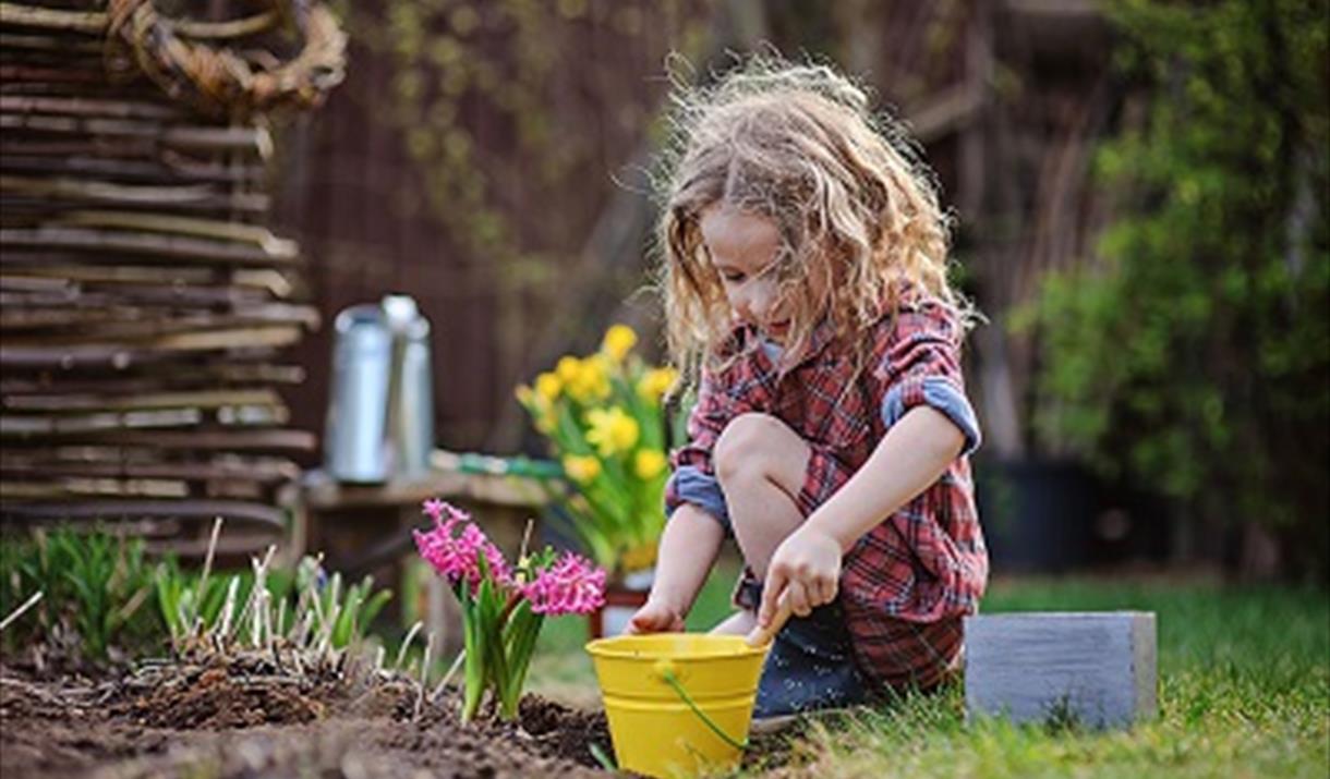 Terrific Tuesday- Mini Gardening