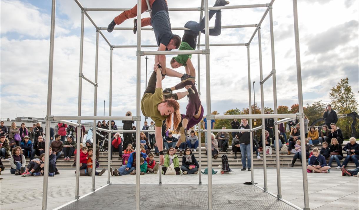 Image of artists performing acrobatics in a cage
