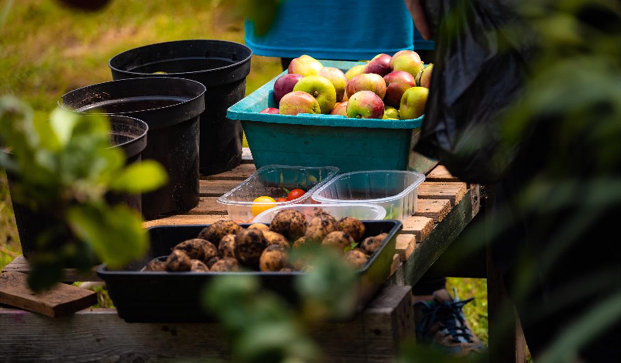 A table with garden produce, including apples and potatoes