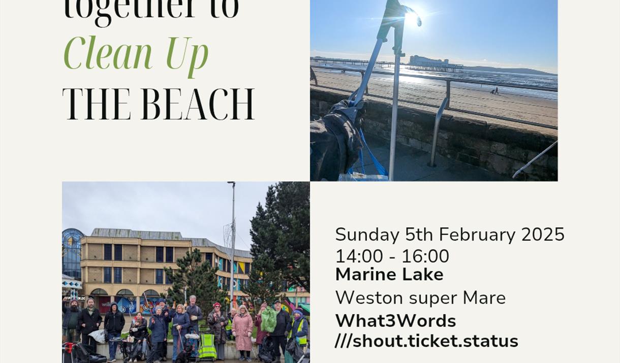 Beach Clean and Litter Picking Event - Sophie's SUPER Litter Picking group