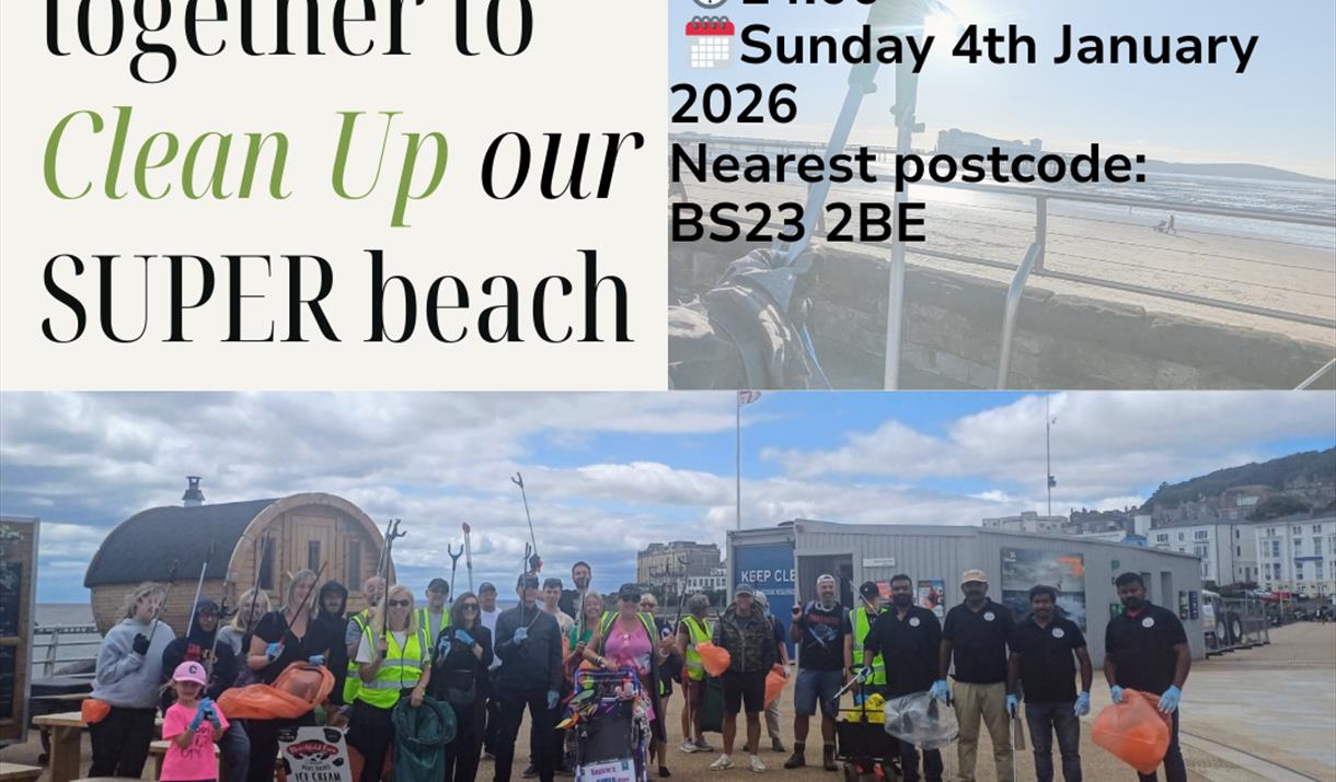 Beach Clean. Sunday 4th January 2026. 2pm. Marine Lake.