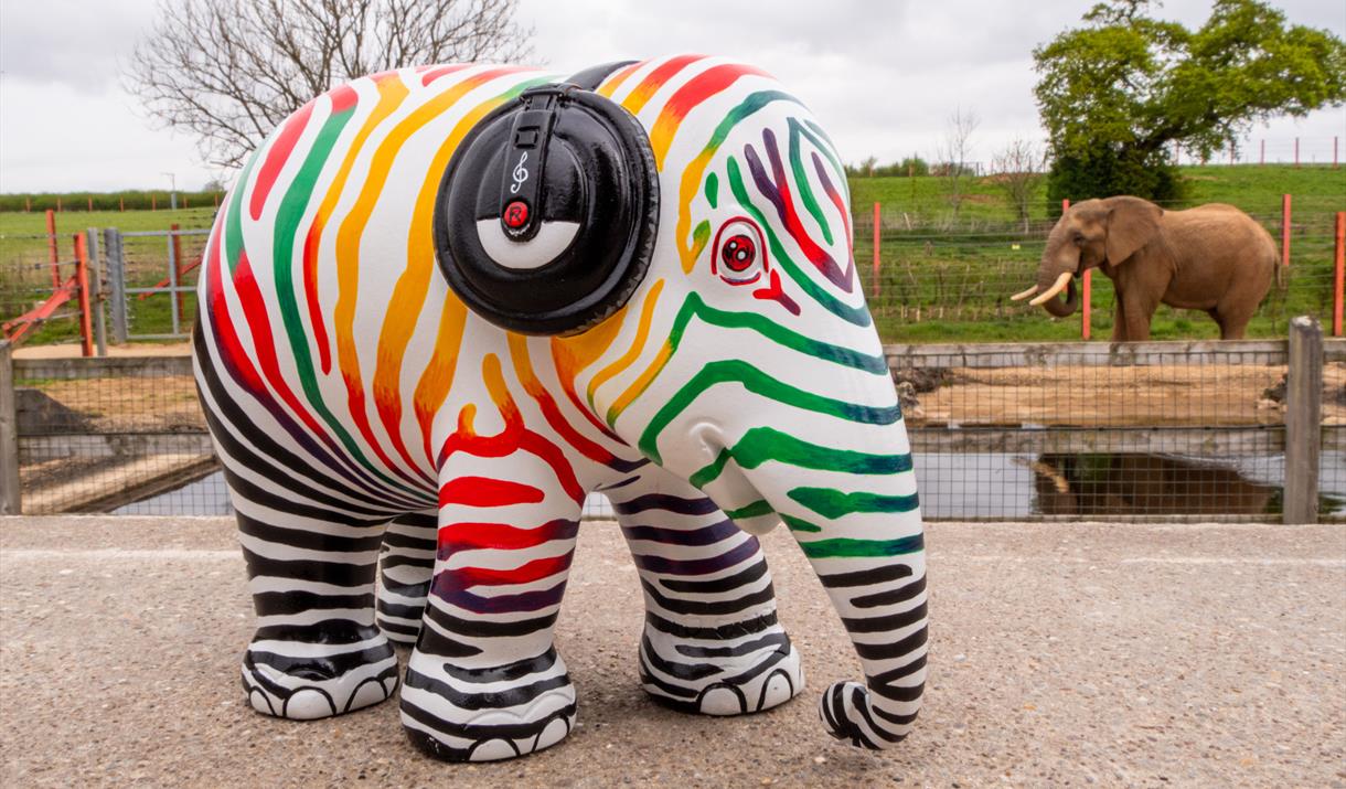 Elephant Parade®