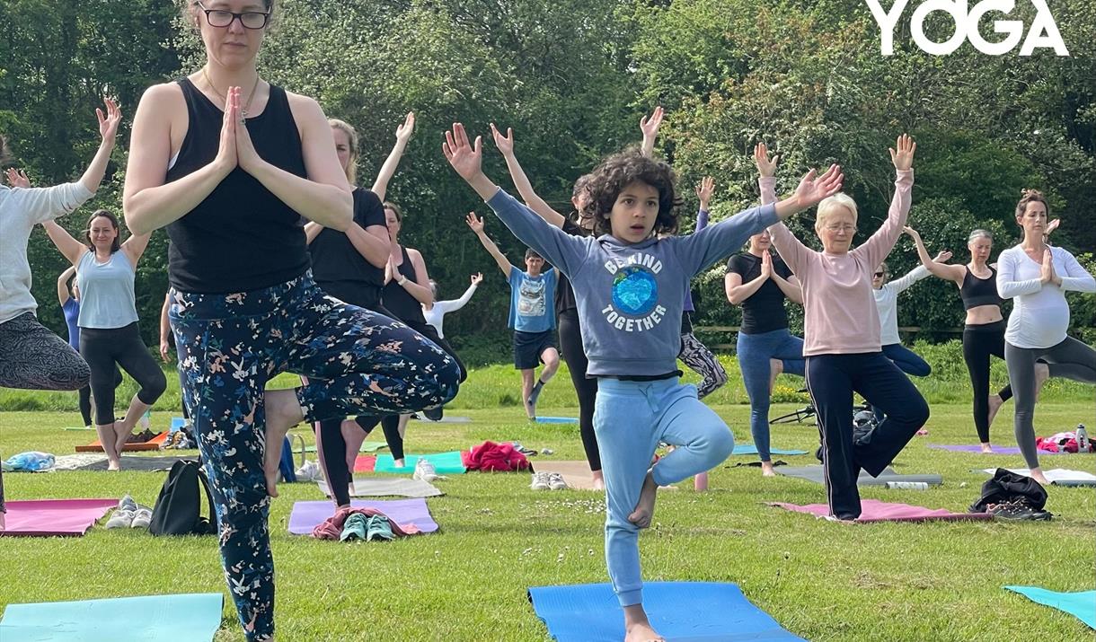 A group of people of all ages doing yoga outside in a park